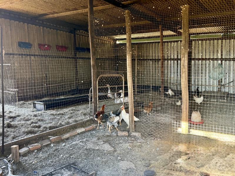 0 Bedroom Property for Sale in Harrismith Free State